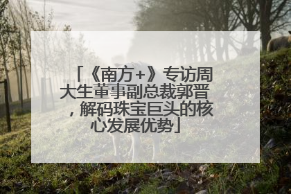 《南方+》专访周大生董事副总裁郭晋，解码珠宝巨头的核心发展优势