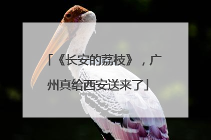 《长安的荔枝》，广州真给西安送来了