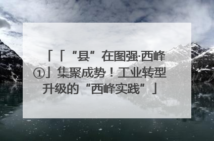 「“县”在图强·西峰①」集聚成势！工业转型升级的“西峰实践”