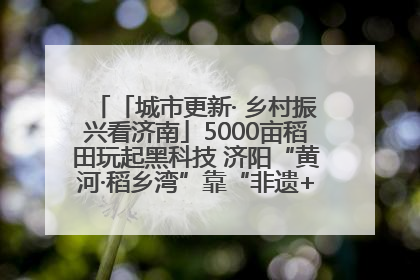 「城市更新· 乡村振兴看济南」5000亩稻田玩起黑科技 济阳“黄河·稻乡湾”靠“非遗+露营”火出圈