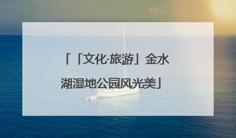 「文化·旅游」金水湖湿地公园风光美