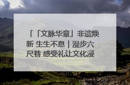 「文脉华章」非遗焕新 生生不息｜漫步六尺巷 感受礼让文化浸润的“巷”往生活