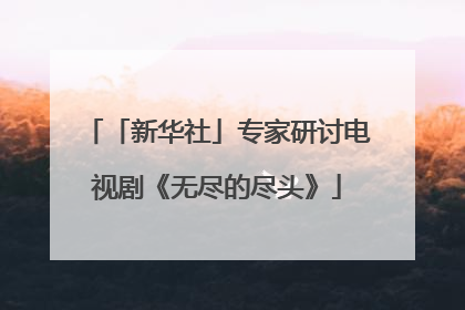 「新华社」专家研讨电视剧《无尽的尽头》