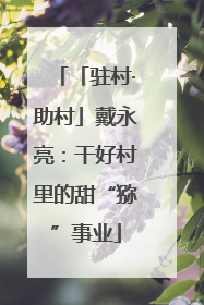 「驻村·助村」戴永亮：干好村里的甜“猕”事业