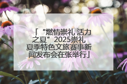 “燃情崇礼 活力之夏”2025崇礼夏季特色文旅赛事新闻发布会在张举行