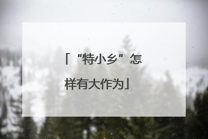 “特小乡”怎样有大作为