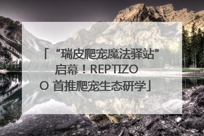 “瑞皮爬宠魔法驿站” 启幕！REPTIZOO 首推爬宠生态研学