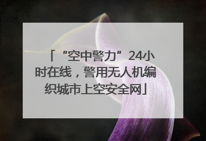 “空中警力”24小时在线，警用无人机编织城市上空安全网