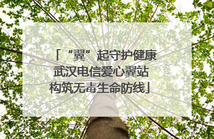 “翼”起守护健康 武汉电信爱心翼站构筑无毒生命防线