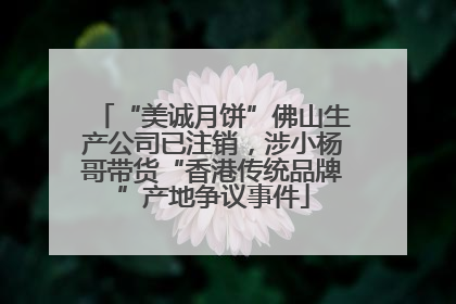 “美诚月饼”佛山生产公司已注销，涉小杨哥带货“香港传统品牌”产地争议事件
