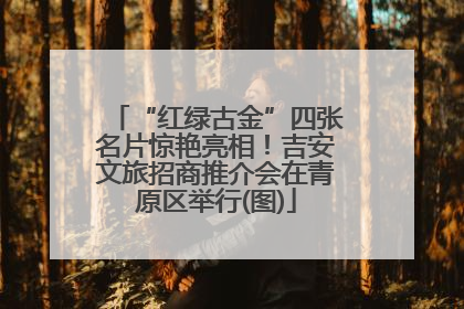 “红绿古金”四张名片惊艳亮相！吉安文旅招商推介会在青原区举行(图)