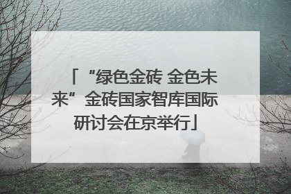 “绿色金砖 金色未来”金砖国家智库国际研讨会在京举行