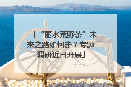“丽水荒野茶”未来之路如何走？专题调研近日开展