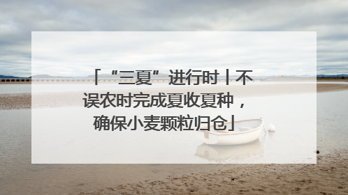 “三夏”进行时丨不误农时完成夏收夏种，确保小麦颗粒归仓