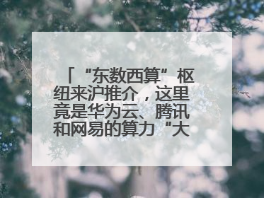 “东数西算”枢纽来沪推介，这里竟是华为云、腾讯和网易的算力“大本营”
