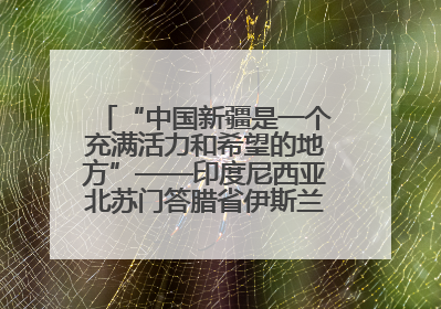 “中国新疆是一个充满活力和希望的地方”——印度尼西亚北苏门答腊省伊斯兰教代表团参访新疆