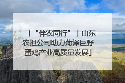 “伴农同行”｜山东农担公司助力菏泽巨野蛋鸡产业高质量发展