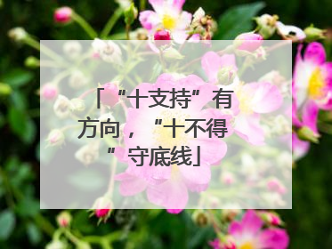 “十支持”有方向，“十不得”守底线