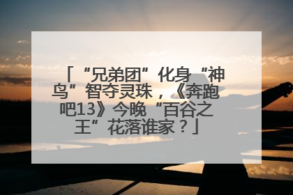 “兄弟团”化身“神鸟”智夺灵珠，《奔跑吧13》今晚“百谷之王”花落谁家？