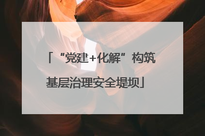 “党建+化解”构筑基层治理安全堤坝