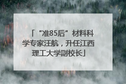 “准85后”材料科学专家汪航，升任江西理工大学副校长