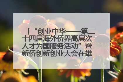 “创业中华——第二十四届海外侨界高层次人才为国服务活动”暨新侨创新创业大会在雄安新区开幕