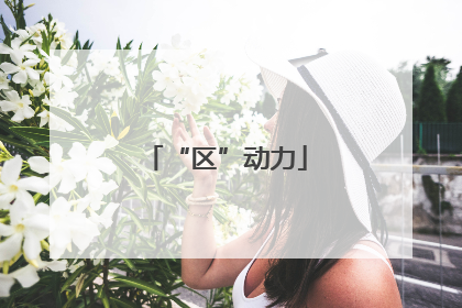 “区”动力