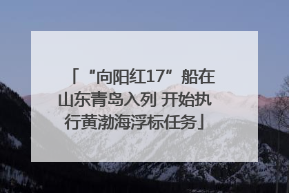 “向阳红17”船在山东青岛入列 开始执行黄渤海浮标任务