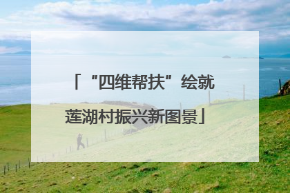 “四维帮扶”绘就莲湖村振兴新图景
