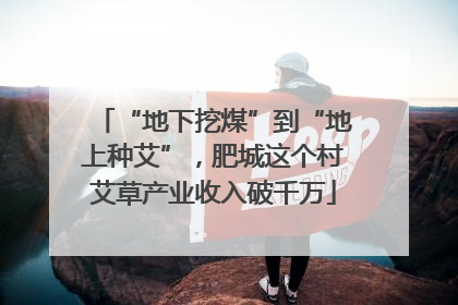 “地下挖煤”到“地上种艾”，肥城这个村艾草产业收入破千万
