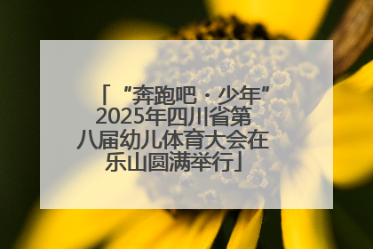 “奔跑吧・少年”2025年四川省第八届幼儿体育大会在乐山圆满举行