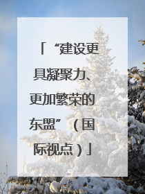 “建设更具凝聚力、更加繁荣的东盟”（国际视点）