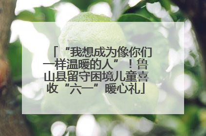 “我想成为像你们一样温暖的人”！鲁山县留守困境儿童喜收“六一”暖心礼