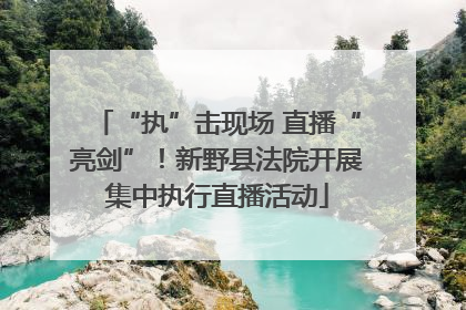 “执”击现场 直播“亮剑”！新野县法院开展集中执行直播活动