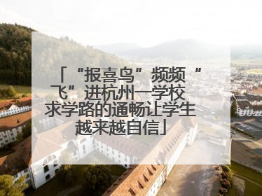 “报喜鸟”频频“飞”进杭州一学校 求学路的通畅让学生越来越自信