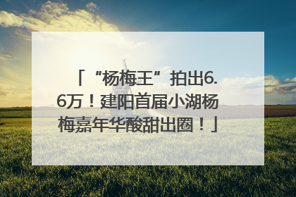 “杨梅王”拍出6.6万！建阳首届小湖杨梅嘉年华酸甜出圈！
