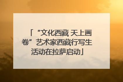 “文化西藏 天上画卷”艺术家西藏行写生活动在拉萨启动