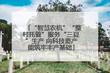 “智慧农机”“整村托管”服务“三夏”生产 向科技要产能筑牢丰产基础