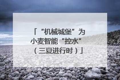“机械城堡”为小麦智能“控水”（三夏进行时）
