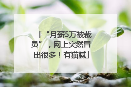 “月薪5万被裁员”，网上突然冒出很多！有猫腻