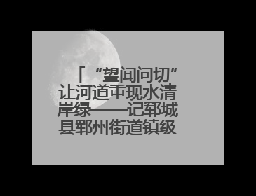 “望闻问切”让河道重现水清岸绿——记郓城县郓州街道镇级河长孟泓辰