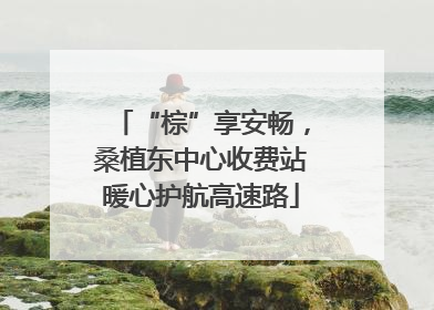 “棕”享安畅，桑植东中心收费站暖心护航高速路