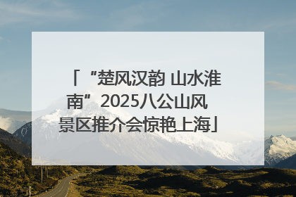 “楚风汉韵 山水淮南”2025八公山风景区推介会惊艳上海