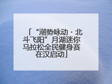 “潮势咏动・北斗飞阳”月湖迷你马拉松全民健身赛在汉启动