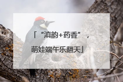 “滇韵+药香”，萌娃端午乐翻天