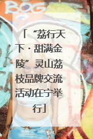 “荔行天下・甜满金陵”灵山荔枝品牌交流活动在宁举行