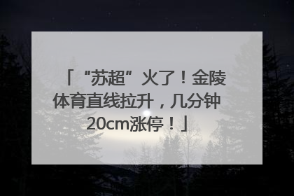 “苏超”火了！金陵体育直线拉升，几分钟20cm涨停！