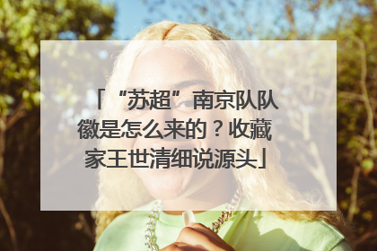 “苏超”南京队队徽是怎么来的？收藏家王世清细说源头
