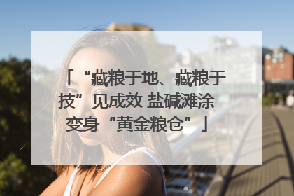 “藏粮于地、藏粮于技”见成效 盐碱滩涂变身“黄金粮仓”