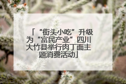 “街头小吃”升级为“富民产业”四川大竹县举行肉丁面主题消费活动